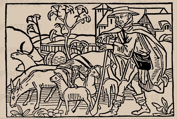 Shepherd. From Speculum Vitae Humanae by Rodericus Zamorensis, 1479.