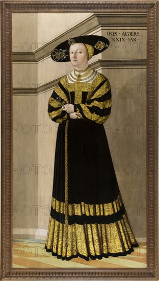 Portrait of Anna von Rosental, 1529.