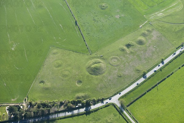 Large Bronze Age round barrow cemetery earthwork, Winterbourne Poor Lot, Dorset, 2015