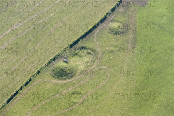 Three barrow clump round barrow cemetery, Winterbourne Poor Lot, Dorset, 2015