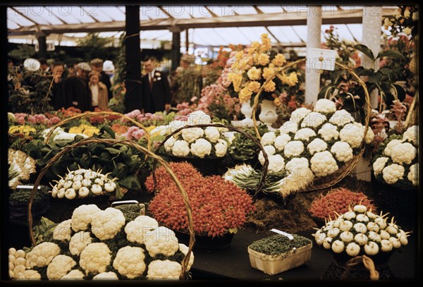 Chelsea Flower Show, London, 1962