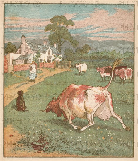 This is the cow with the crumpled horn...', c1878.