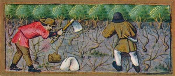 March - working in the vineyard, 15th century, (1939).