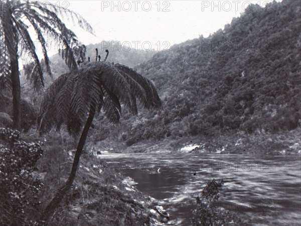 Wanganui River', late 19th-early 20th century.
