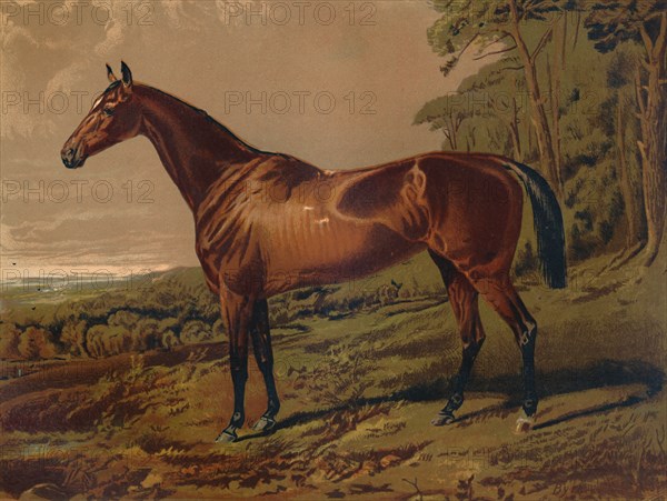 Fair Nell', c1879.