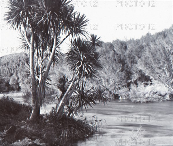 Te Waihou River, Okoroire, late 19th-early 20th century.