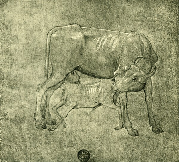 Cow and calf, mid-late 15th centuy, (1943).