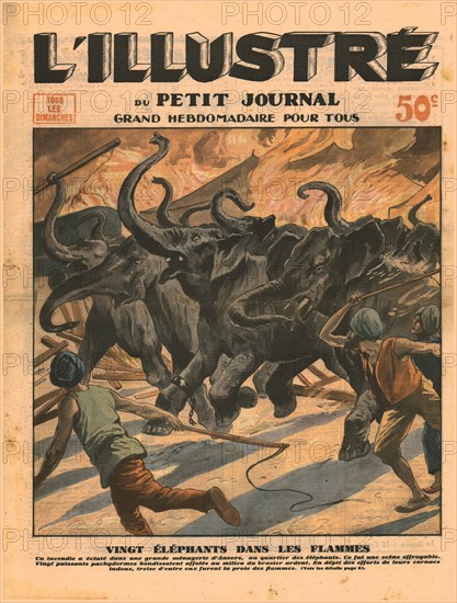 Twenty elephants in the flames,1932