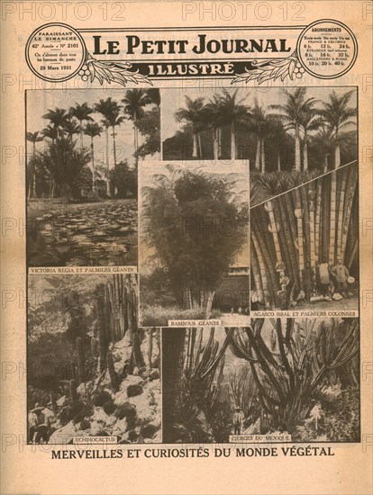 Marvels and curiosities of the plant world,1931