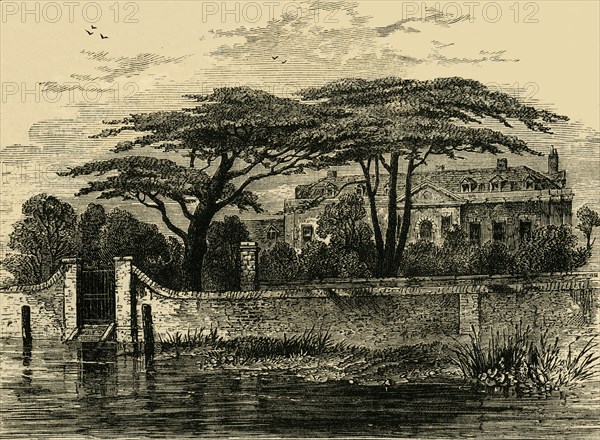 'The Botanical Gardens, Chelsea