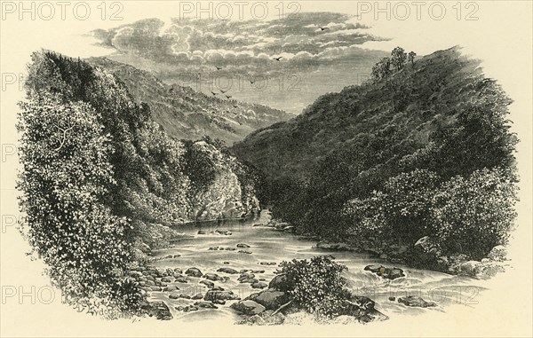 'On the Dart, Lover's Leap'