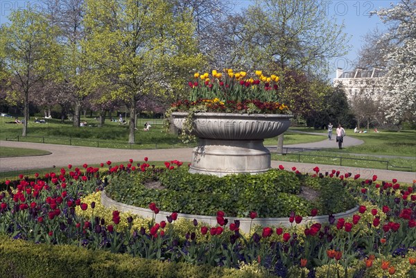 Regent's Park - Springtime floral displays in Regent's Park, London