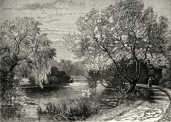 'The Botanical Gardens, Regent's Park'