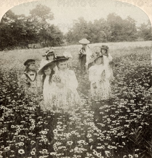 'In the Daisy Field: "Sweet Flow'ret of the Rural Glade',1896