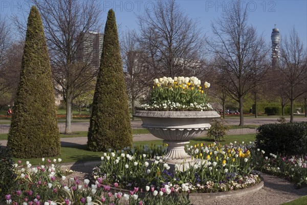 Regent's Park - Springtime floral displays in Regent's Park, London