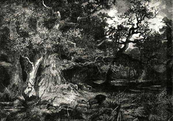 'An Old German Forest',1890
