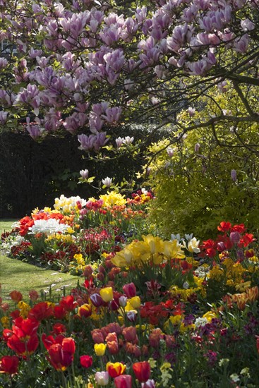 Regent's Park - Springtime floral displays in Regent's Park, London