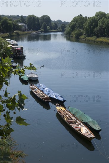 View from Richmond Bridge, Surrey