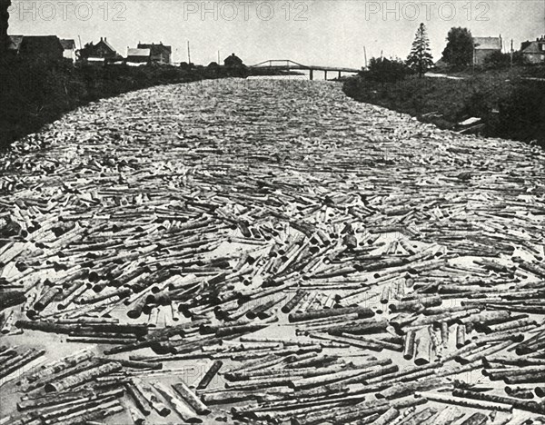 'On their Way to the Saw Mills', c1948