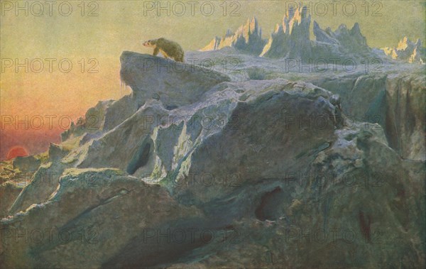 'Beyond Man's Footsteps', c1894, (c1930).  Creator: Briton Riviere.