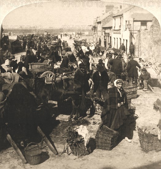 'Selling the Irishman's ?Staff of Life?, the Potatoe Market, Galway, Ireland', 1901.  Creator: Works and Sun Sculpture Studios.