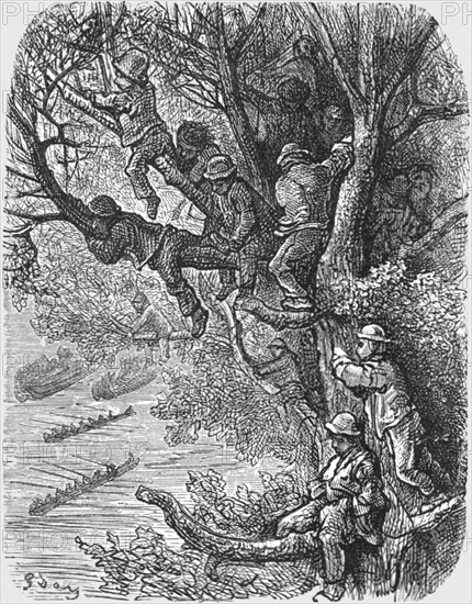 'Perched in the Trees', 1872. Creator: Gustave Doré.