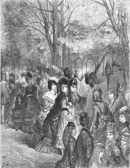 'Zoological Gardens - The Parrot Walk', 1872.  Creator: Gustave Doré.