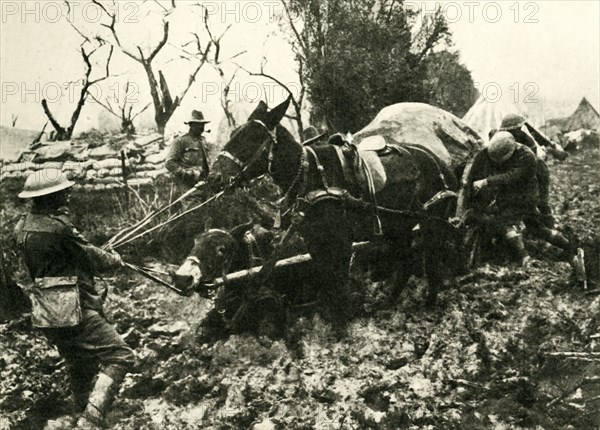 'Transport Difficulties in the Swamps of Flanders', First World War, 1917, (c1920). Creator: Unknown.