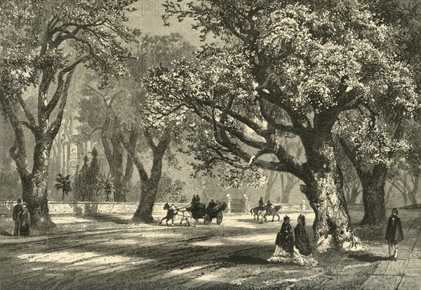'Oaks of Oakland', 1874.  Creator: Unknown.