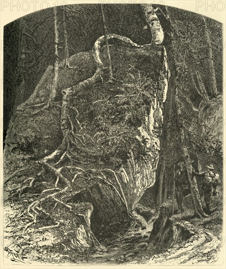 'Rocks in Smuggler's Notch', 1874.  Creator: Harry Fenn.