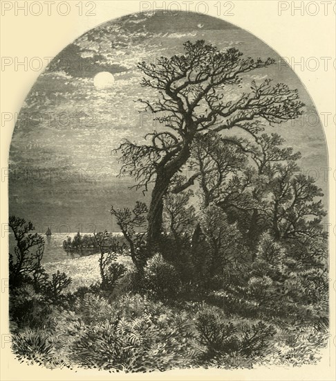 'Point of Cape Ann, from Cedar Avenue, Pigeon Cove', 1874.  Creator: J. C. S..