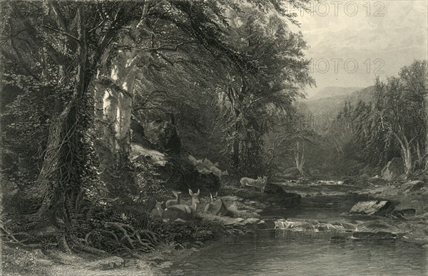 'The Adirondack Woods', 1874. Creator: Robert Hinshelwood.