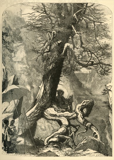 'Above the Natural Bridge', 1872. Creator: Henry Duff Linton.