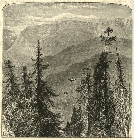 'Mount Washington, from top of Thompson's Falls, Pinkham Pass', 1872. Creator: Harry Fenn.