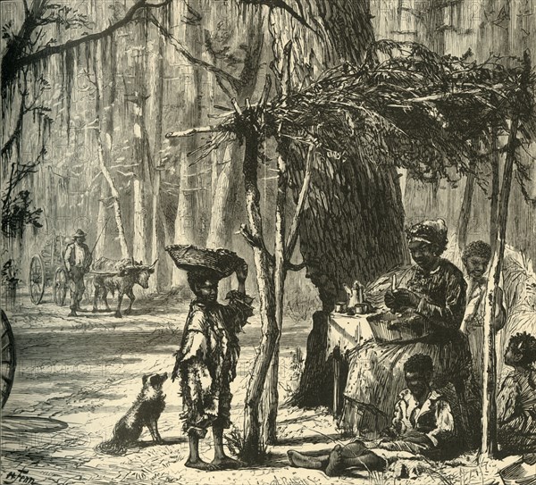 'A Road-side Scene near Charleston', 1872. Creator: Albert Bobbett.