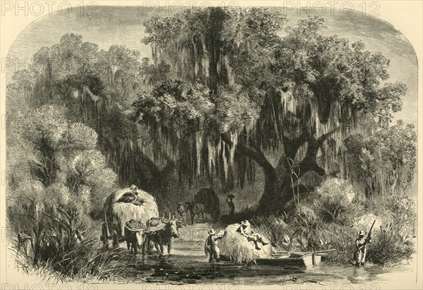 'The Moss-Gatherers', 1872.  Creator: Alfred Waud.