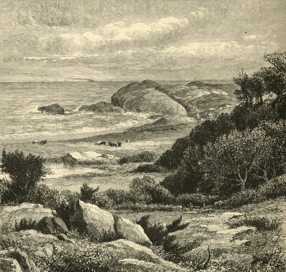 'Distant View of Purgatory', 1872. Creator: W. J. Linton.