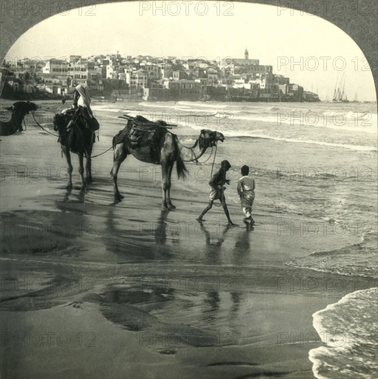 'Jaffa, the Joppa of Bible Times, Palestine', c1930s. Creator: Unknown.