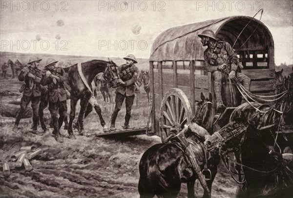 'Under the Blue Cross: Wounded Horses Being Conveyed to the Veterinary Hospital', 1917. Creator: Unknown.