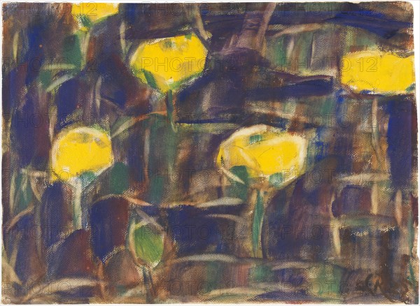 Water Lilies, 1925. Creator: Rohlfs, Christian (1849-1938).