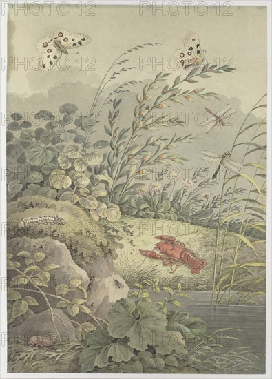 Piece of water with crab, butterflies, dragonflies and sea-buckthorn, c. 1800. Creator: Zingg, Adrian (1734-1816).