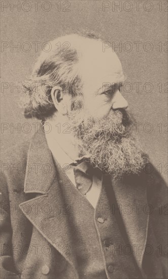 Portrait of the composer Robert von Hornstein (1833-1890). Creator: Hanfstaengl, Franz (1804-1877).