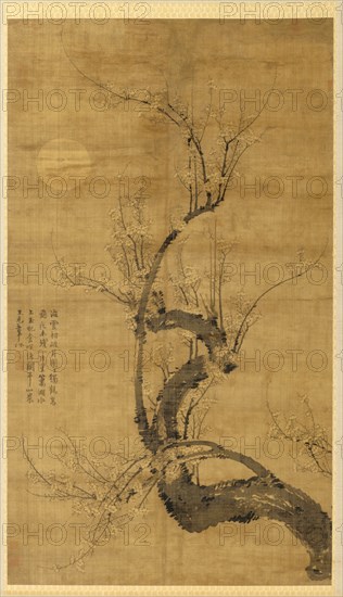 A Prunus in the Moonlight, 1300s. Creator: Wang Mian (Chinese, 1287-1359).