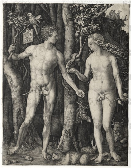 Adam and Eve, 1504. Creator: Albrecht Dürer (German, 1471-1528).