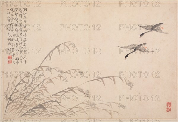 Album of Calligraphy and Paintings, 18th Century. Creator: Bian Shoumin (Chinese, 1684-1752).