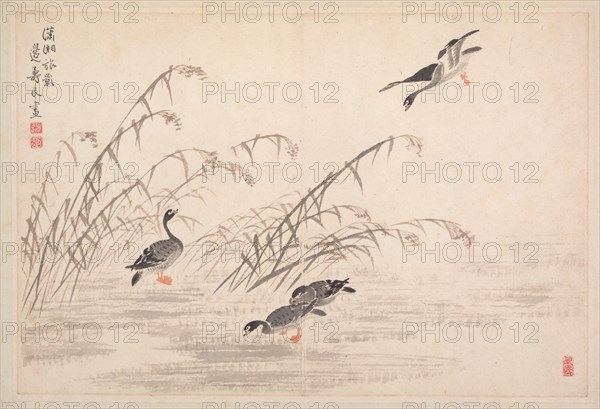 Album of Calligraphy and Paintings, 18th Century. Creator: Bian Shoumin (Chinese, 1684-1752).