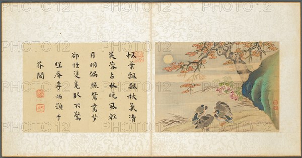 Album of Miscellaneous Subjects, Leaf 8, 1600s. Creator: Fan Qi (Chinese, 1616-aft 1694).