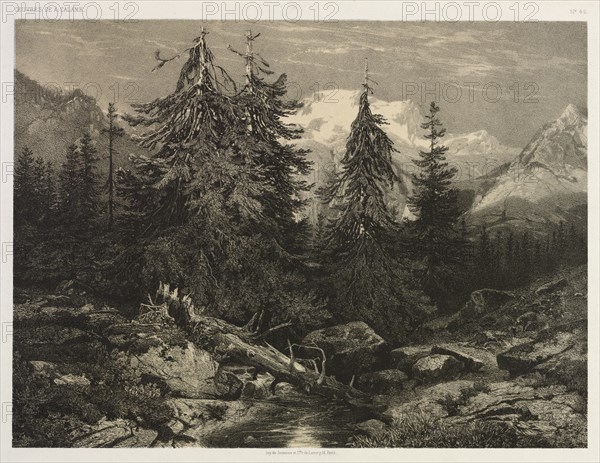 Alpine Stream. Creator: Alexandre Calame (Swiss, 1810-1864).