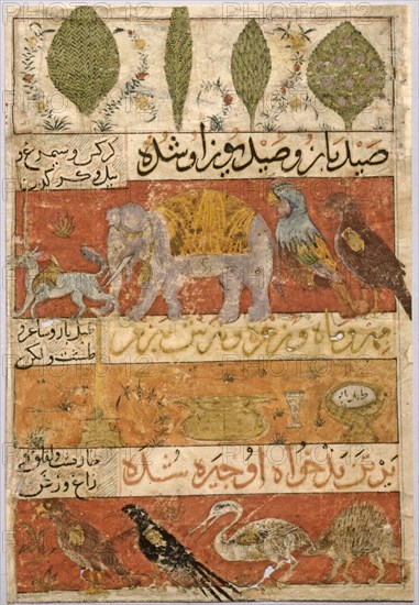 Animals, Birds, and Plants (verso); Illustration and Text (Persian Verses)..., 1341. Creator: Unknown.