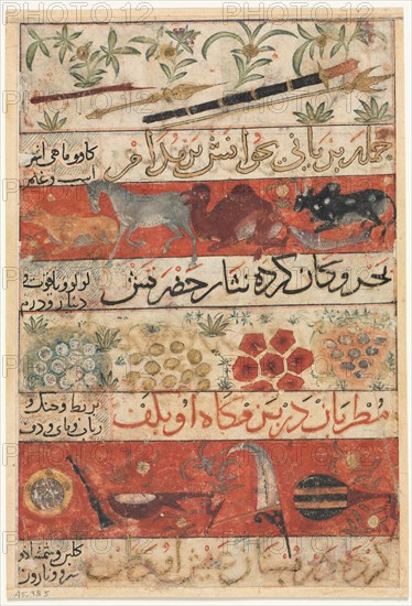 Animals, Precious Stones, Coins, and Musical Instruments (recto); Animals, Birds, and Plants (verso) Creator: Unknown.